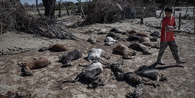 درخواست حجتالاسلام رستمی از دانشجویان برای خدماترسانی به مردم سیستان و بلوچستان