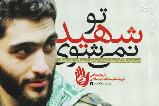 خاطرات برادرم را پیش از شهادتش نوشتم