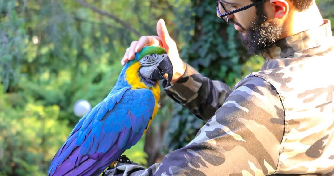 نهم ربیع، عید ولایت و امامت آقامون بر کل عالم، مبارک باشه
‌
الحمدلله که تولد قمریم مصادف …