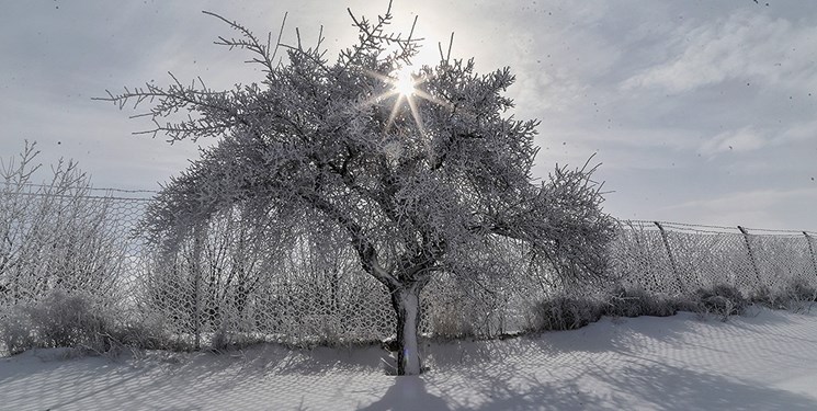 سرما در بسیاری از شهرها و باران در پایتخت از فردا/بارش برف و تگرگ و محدودیت جاده‌های کوهستانی