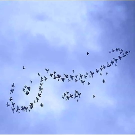 اصلا حسین جنس غمش فرق میکند…
.
.ما را دنبال کنید
…