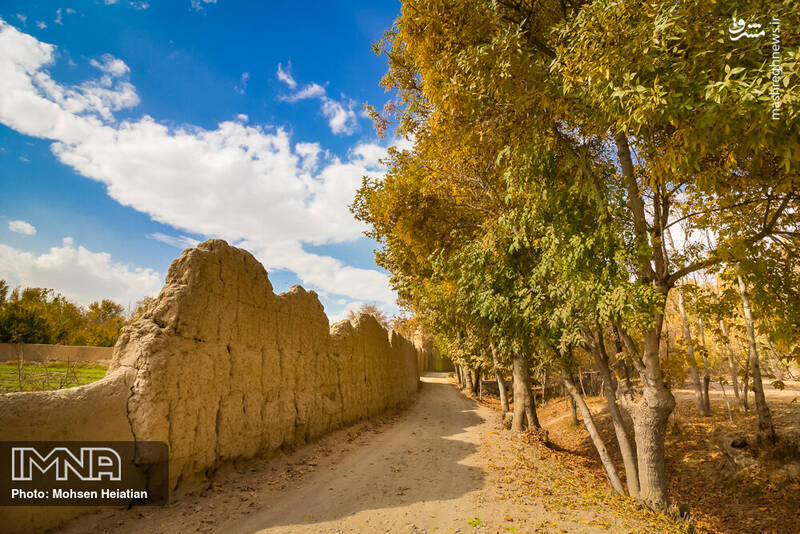 عکس/ رنگین‌کمان رنگ‌ها