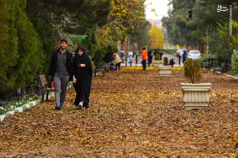 عکس/ رخت پاییز بر تن بوستان‌های قم