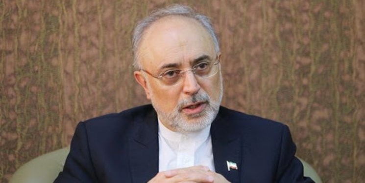 علی‌اکبر صالحی در گفت‌و‌گو با فارس تشریح کرد: چرایی سفر گروسی به تهران