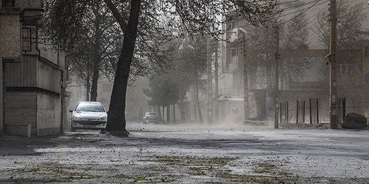 باد خیلی شدید با سرعت ۸۰ تا ۱۱۰ کیلومتر برساعت در ۱۵ استان/رگبار باران در روز طبیعت