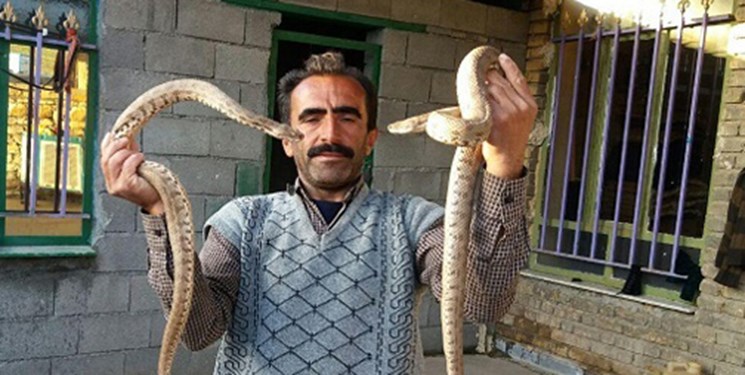 با مارهایم آبگوشت می‌خورم!/ گفت‌وگو با مردی که فیلم هم‌سفره ‌شدنش با مارها در فضای مجازی داغ شد