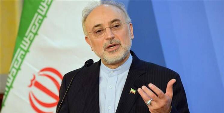 واکنش علی اکبر صالحی به حادثه امروز نطنز