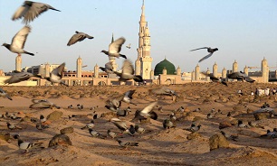 امام محمد باقر (ع)؛ جوان کم سن و سالی که استاد بزرگان و علماء عصر خود شد