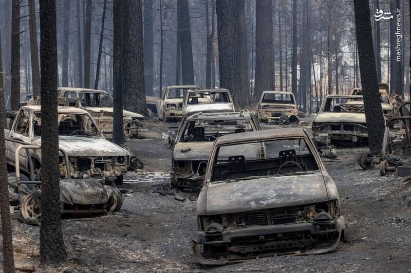 عکس/ خسارت آتش سوزی کالیفرنیا به خودروها