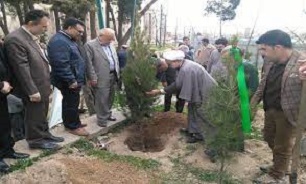 کاشت ۲ هزار اصله نهال به یاد شهدای شهر «لاهرود»