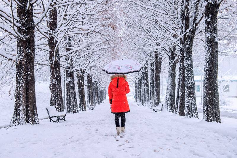 کولاک برف و مه گرفتگی در استان های پربارش کشور