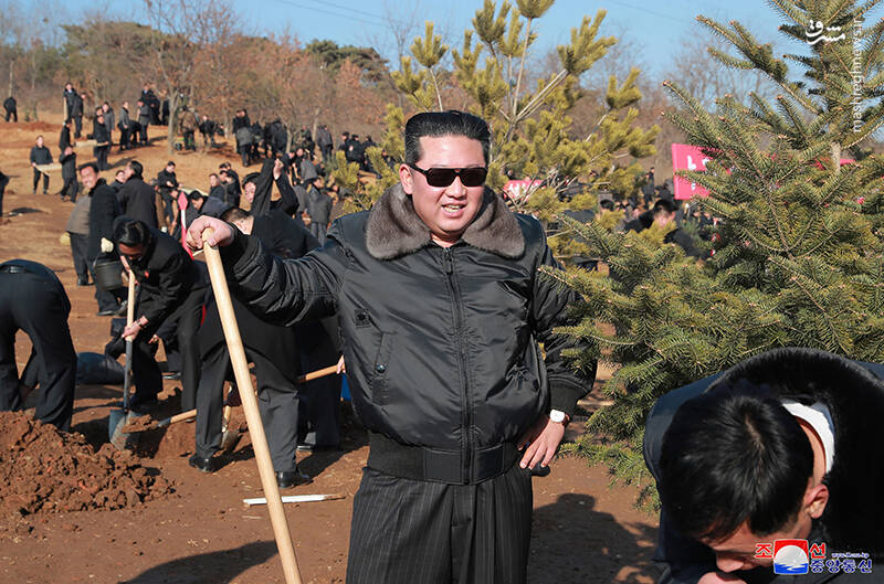 عکس/ روز درخت کاری در کره شمالی