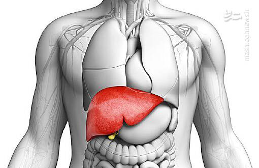 دلیل درد در ناحیه کبد چیست؟
