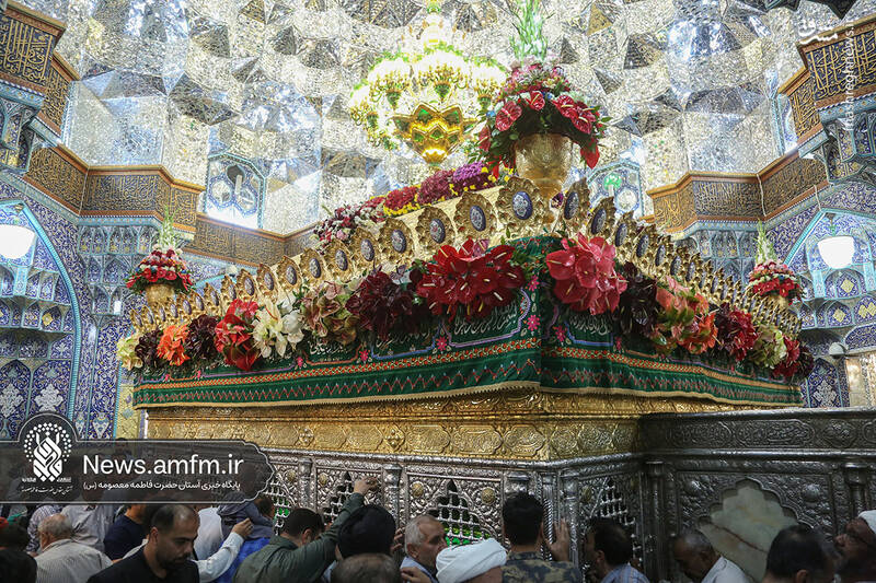 عکس/ گل‌آرایی ضریح حضرت معصومه(س)