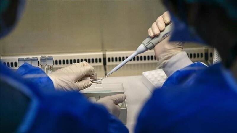 فرانسه واکسیناسیون هدفمند برای مقابله با آبله میمون را آغاز می‌کند