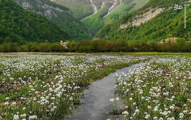 عکس/ طبیعت بکر شهسوار