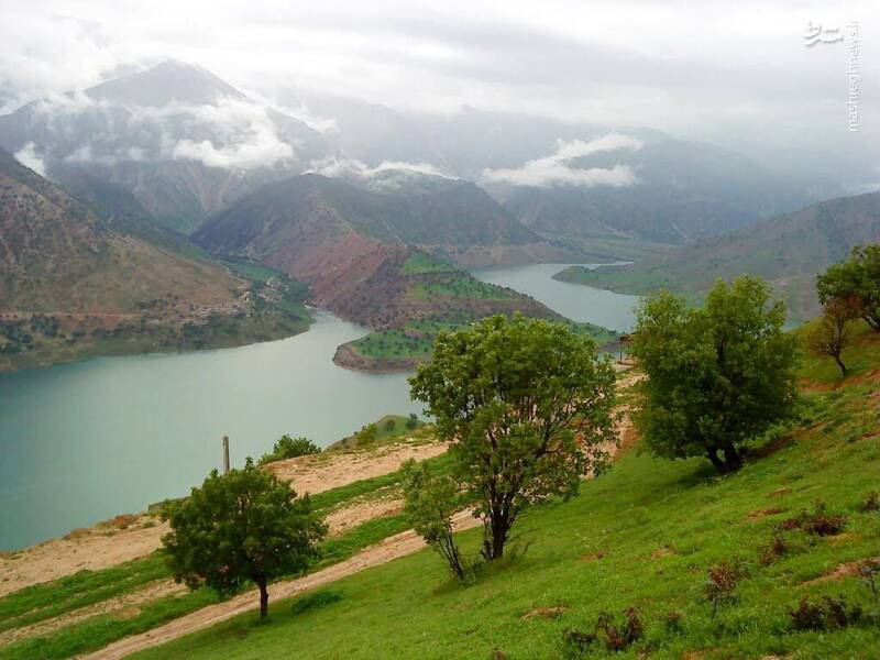 عکس/ دشت رویایی در حوالی مسجد سلیمان