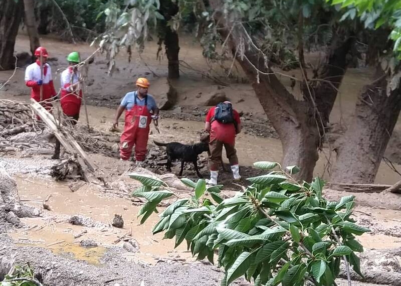 پیکر ۱۸ مفقودی در امامزاده داوود پیدا شده است