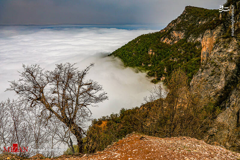 عکس/ طبیعت جهان‌نما