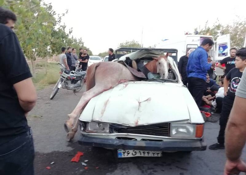 مرگ یک اسب در تصادف با پیکان و مصدومیت ۶ نفر