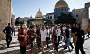 تدارک صهیونیست‌ها برای یورش بزرگ به مسجدالاقصی