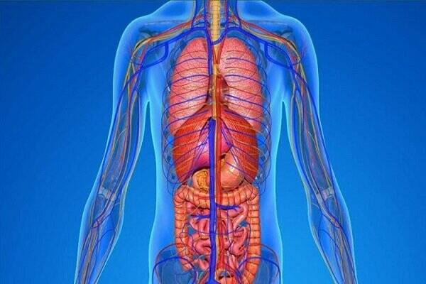 عوارض کمبود کراتین بدن