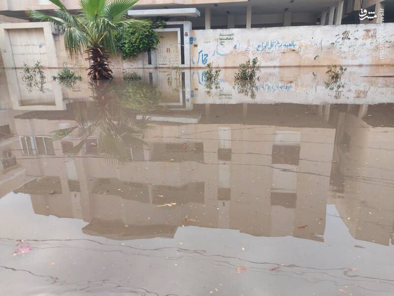عکس/ بارش باران در غزه