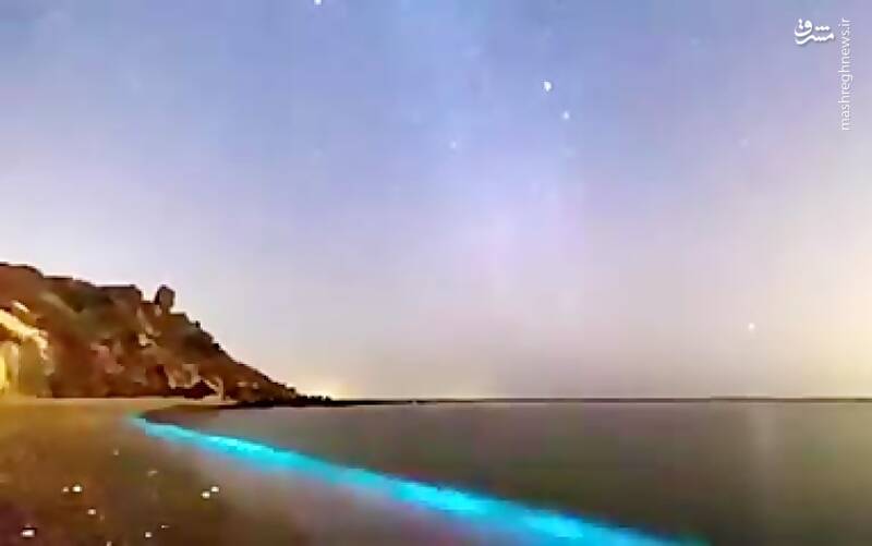 فیلم/ پدیده‌ زیبای فیتوپلانکتون‌ها در خلیج‌ فارس