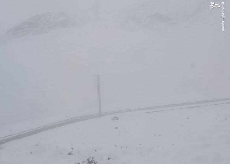 عکس/ بارش برف و مه گرفتگی در پردیس