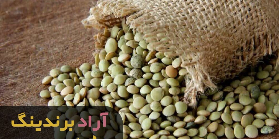 چطور با برنامه ریزی به ثروت دست یافتم