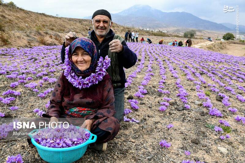 عشق اگر تصویر بود