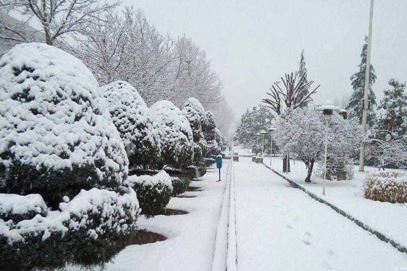 فیلم/ بارش زیبای برف در تهران