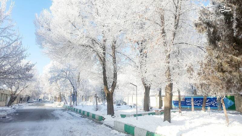 عکس/ چهره برفی کنگاور در روزهای سرد زمستان