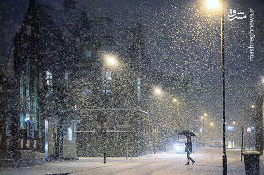 فیلم/ بارش برف شبانه در شمال تهران