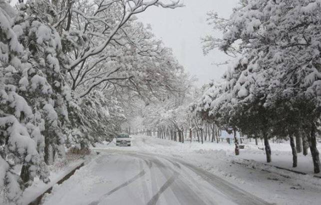 یخبندان‌ در ۲۷ استان و ماندگاری هوای سرد/ ضرورت صرفه‌جویی در مصرف گاز