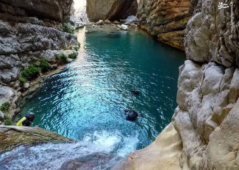 آشنایی با عروس دره‌های فارس +تصاویر