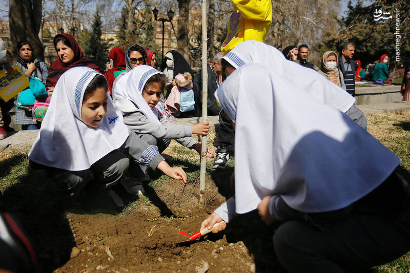 عکس/ مراسم روز درختکاری در همدان