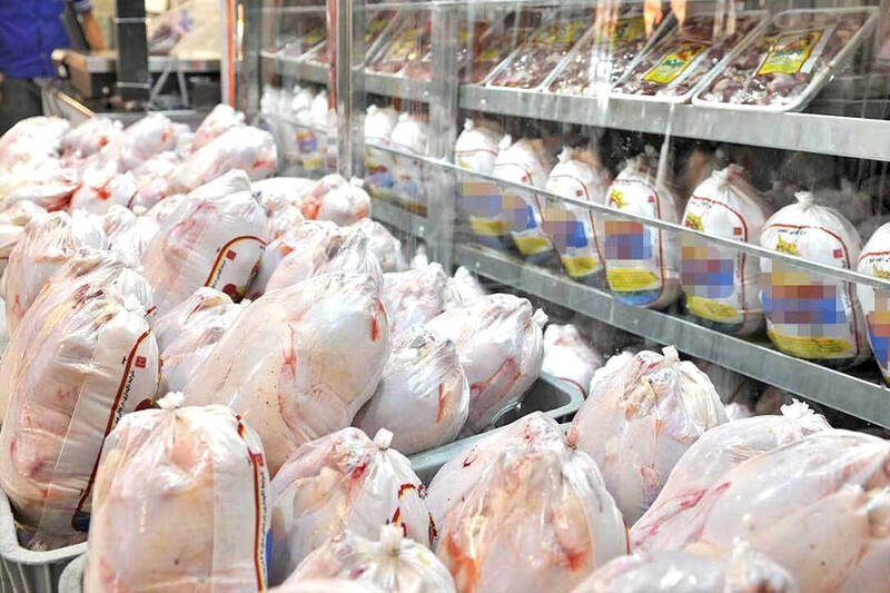 قیمت مرغ در بازار کاهش یافت +جدول