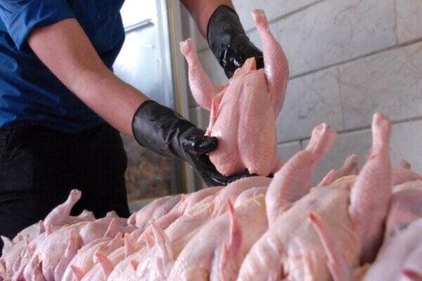فروش مرغ بالاتر از ۶۳ هزارتومان تخلف است