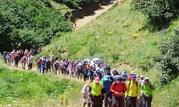 همایش بزرگ جنگل‌نوردی خانوادگی در نکا برگزار می‌شود