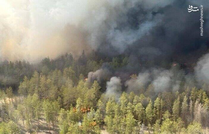 فیلم/ آتش سوزی مرگبار در جنگل‌های قزاقستان