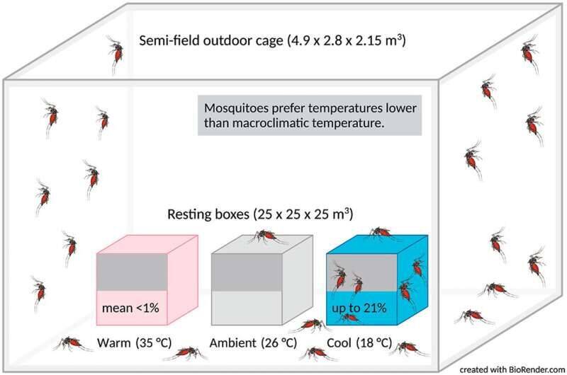 پشه‌ها مکان‌های گرم را دوست دارند یا جای سرد را؟