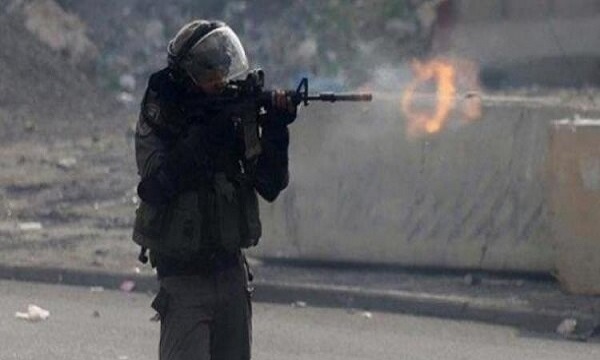 یک نوجوان فلسطینی در شرق قلقیلیه زخمی‌شد