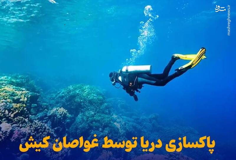 فیلم/ پاکسازی دریا توسط غواصان کیش