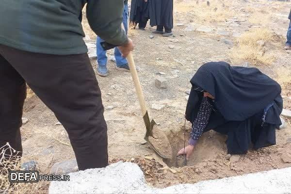 کاشت ۵۰۰۰ نهال در پویش «در سایه مادر» در شهرستان