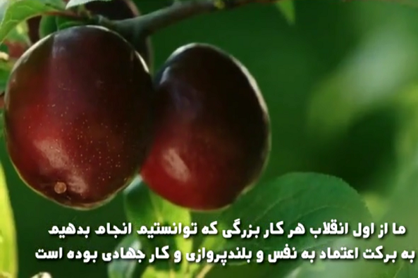 کلیپ/ رزمنده جبهه اقتصادی