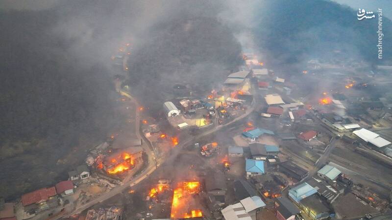 عکس/ «وخیم‌ترین» آتش‌سوزی جنگلی کره جنوبی