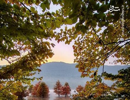 تصویری از زیبایی دریاچه الندان در کیاسر