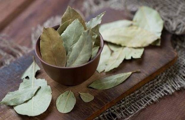 برگ بو این همه خاصیت دارد!