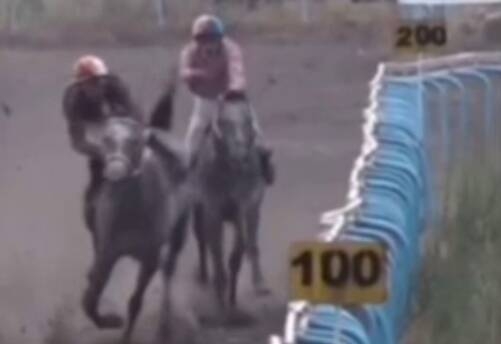 فیلم/ جان باختن چابکسوار در کورس بهاره بندرترکمن